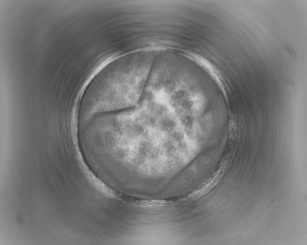 X0000115550859200912041030