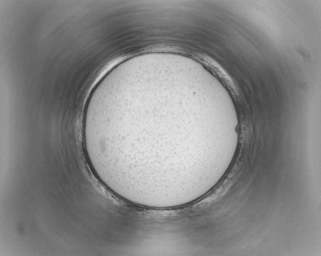 X0000115550860200912041030