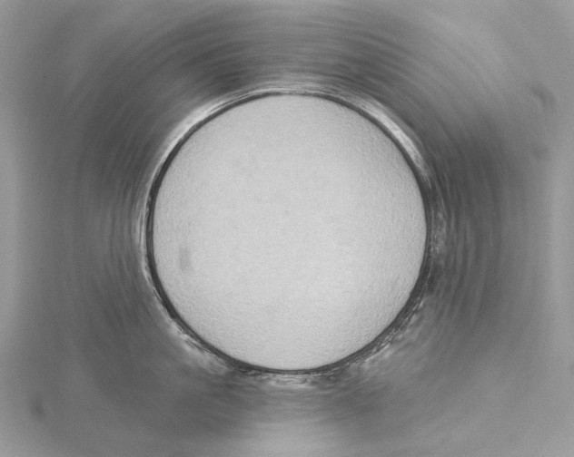 X0000115550861200912041031