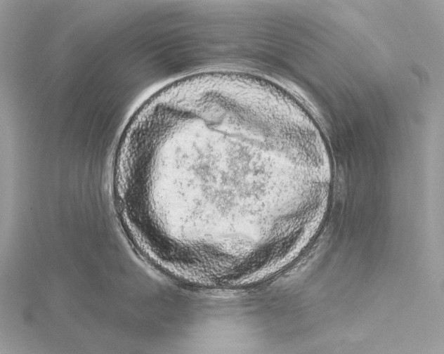 X0000115550862200912041031