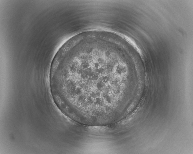 X0000115550863200912041031