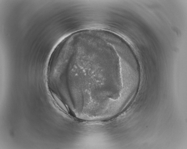 X0000115550864200912041031