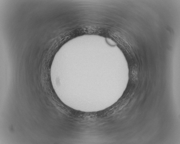 X0000115550865200912041030