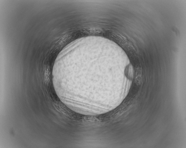 X0000115550866200912041030