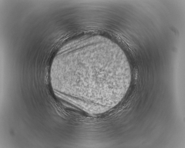 X0000115550868200912041030