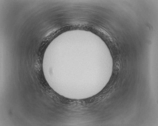 X0000115550869200912041030