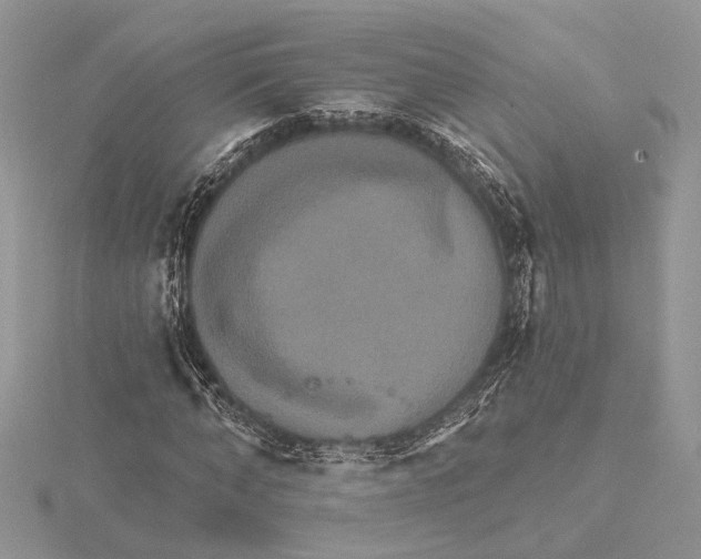 X0000115550870200912041030