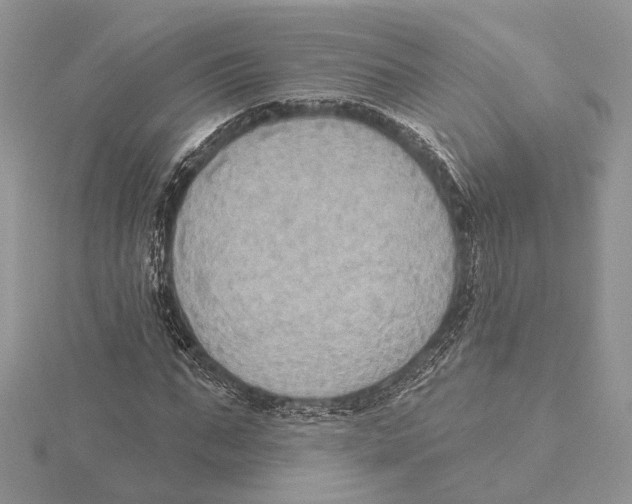 X0000115550871200912041030