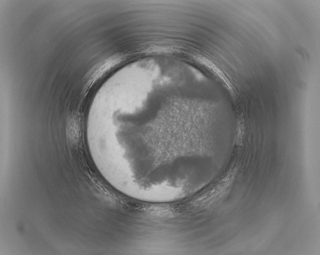 X0000115550874200912041030