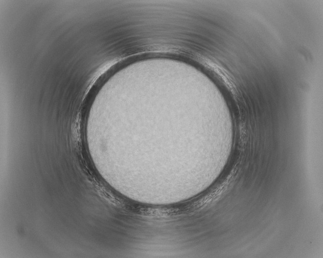 X0000115550875200912041030