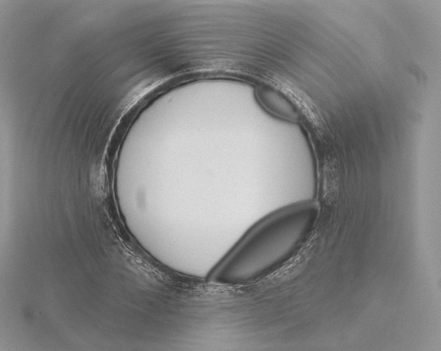 X0000115550876200912041030