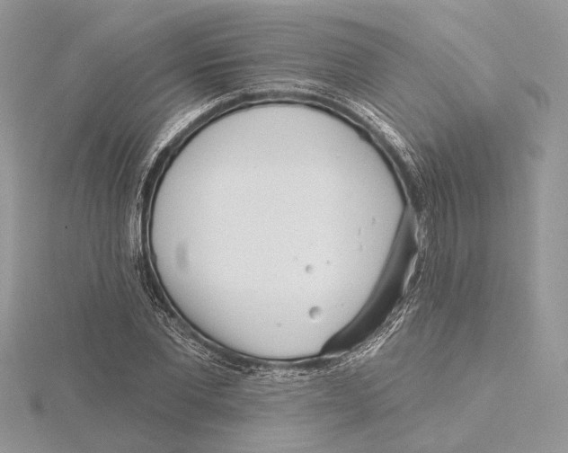 X0000115550877200912041030