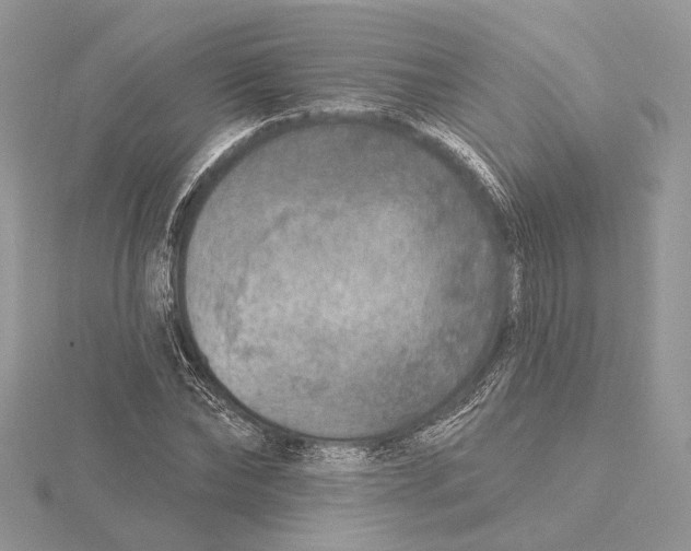 X0000115550878200912041030