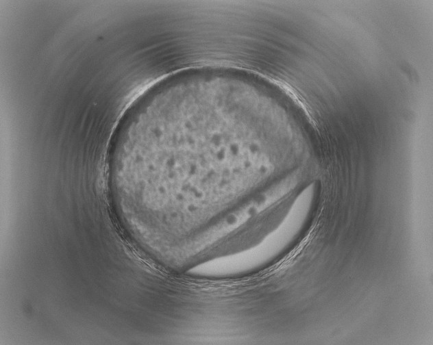 X0000115550879200912041030