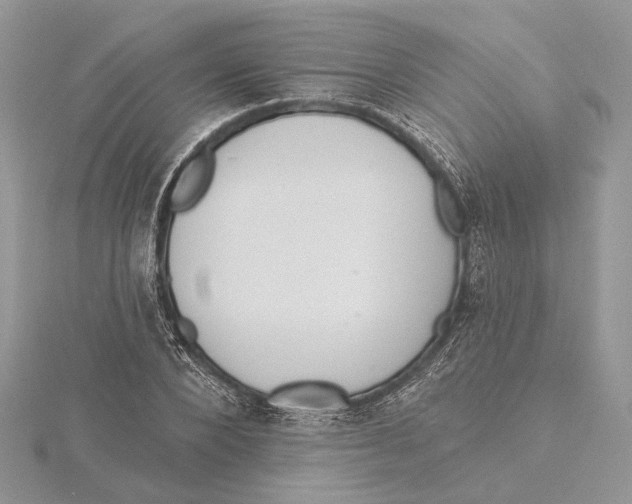 X0000115550880200912041030