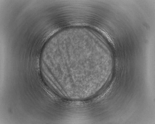 X0000115550881200912041030