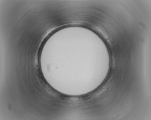 X0000115550883200912041030