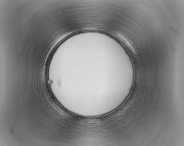 X0000115550884200912041030