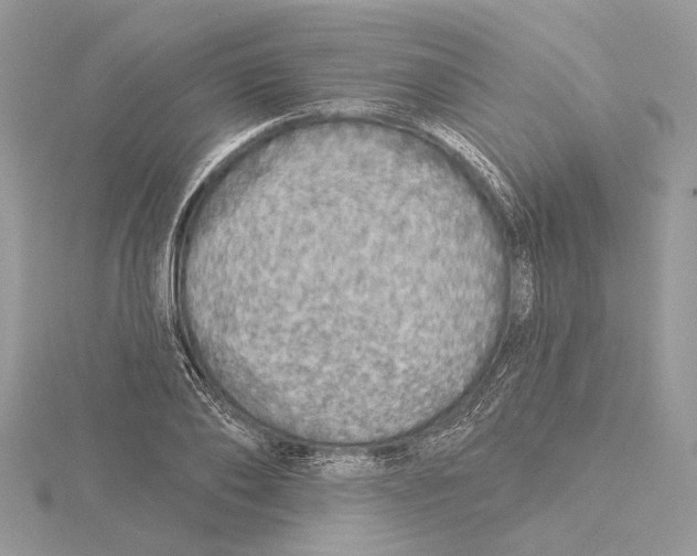 X0000115550886200912041030