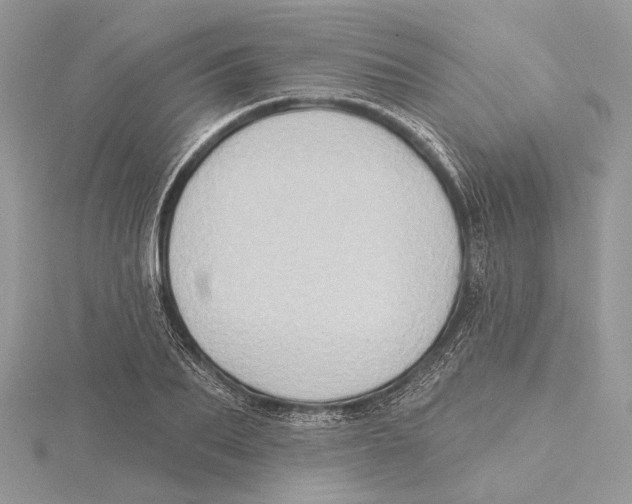 X0000115550887200912041030