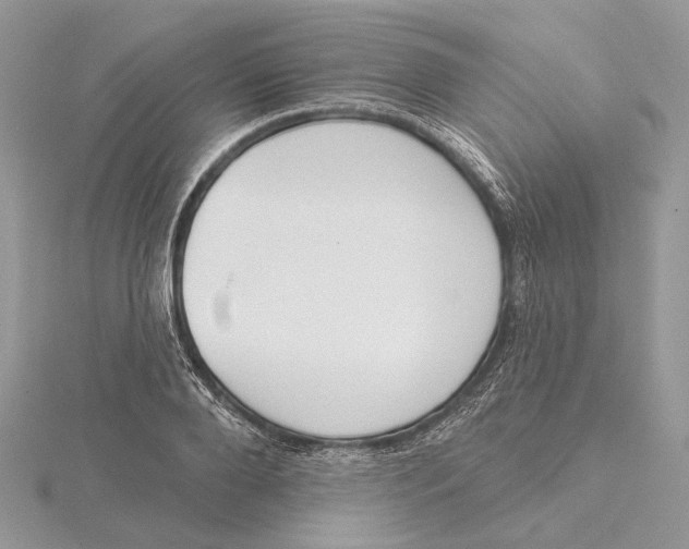 X0000115550888200912041030