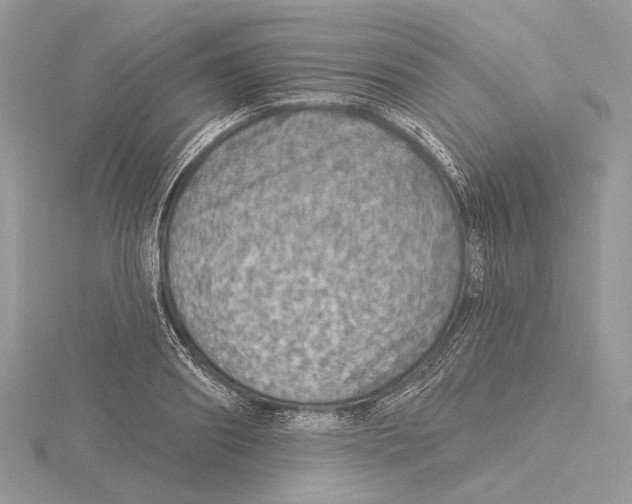 X0000115550890200912041030