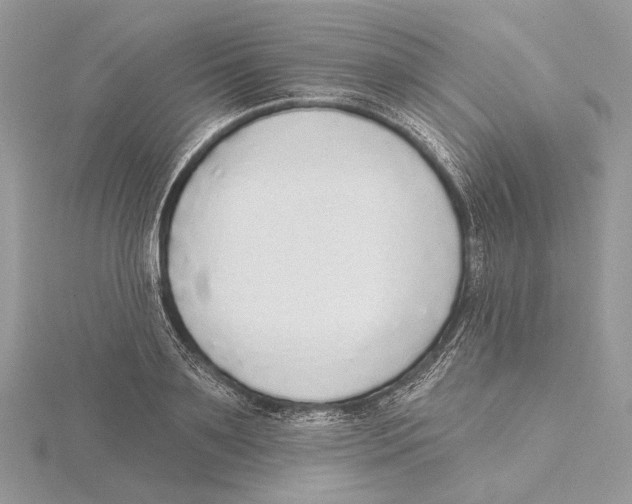 X0000115550891200912041030