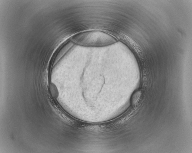 X0000115550892200912041030