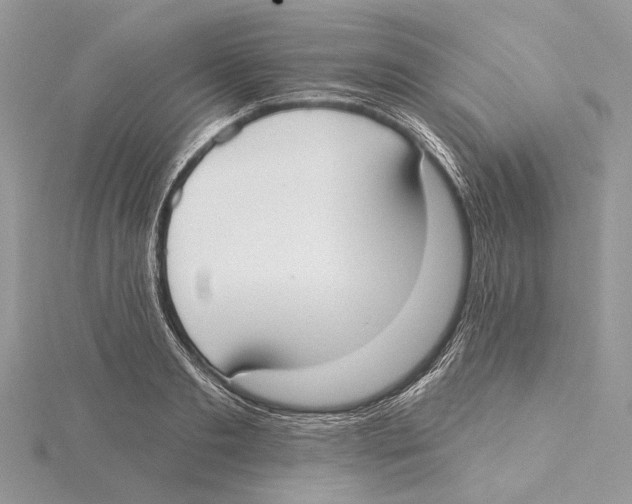 X0000115550893200912041030