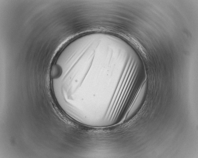 X0000115550896200912041030