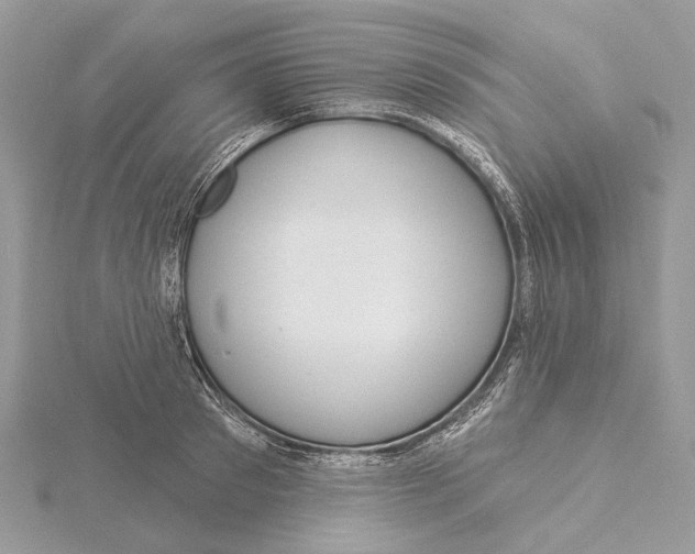 X0000115550897200912041030