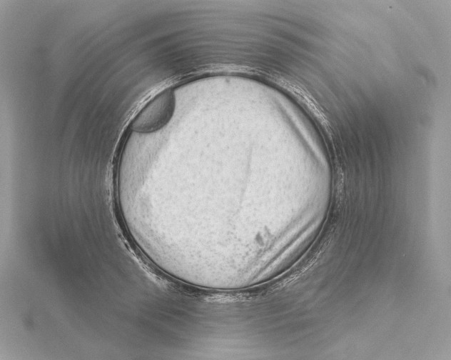 X0000115550898200912041030