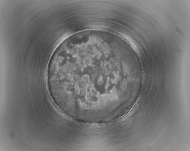 X0000115550899200912041029