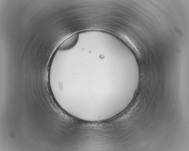 X0000115550900200912041029