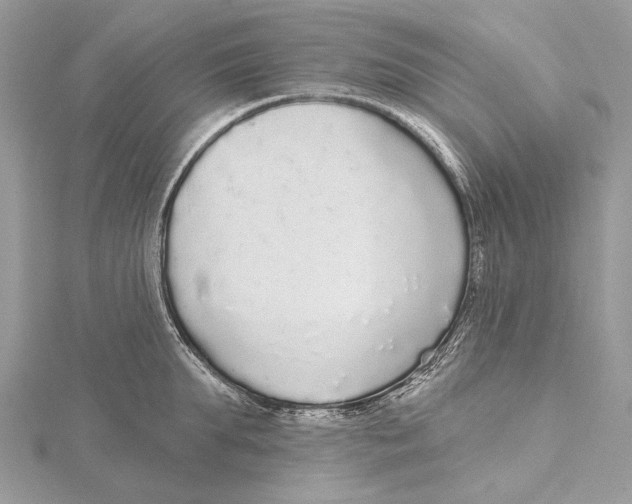 X0000115550903200912041029