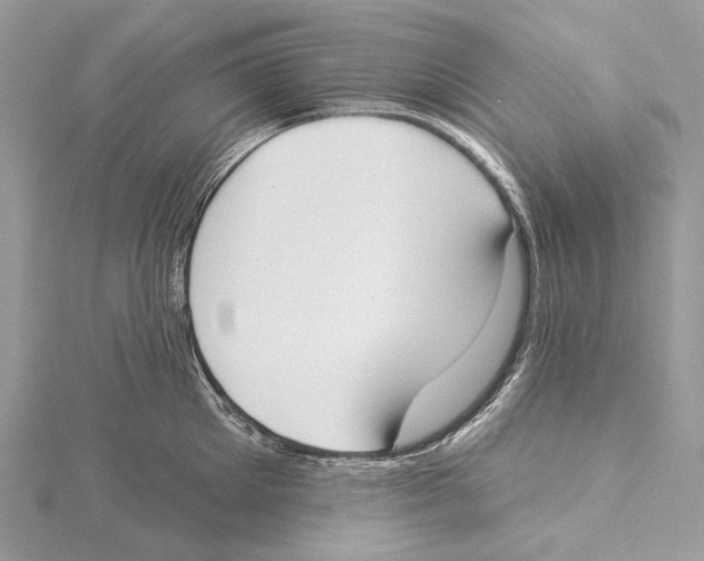 X0000115550905200912041029