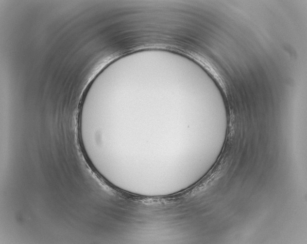 X0000115550906200912041029