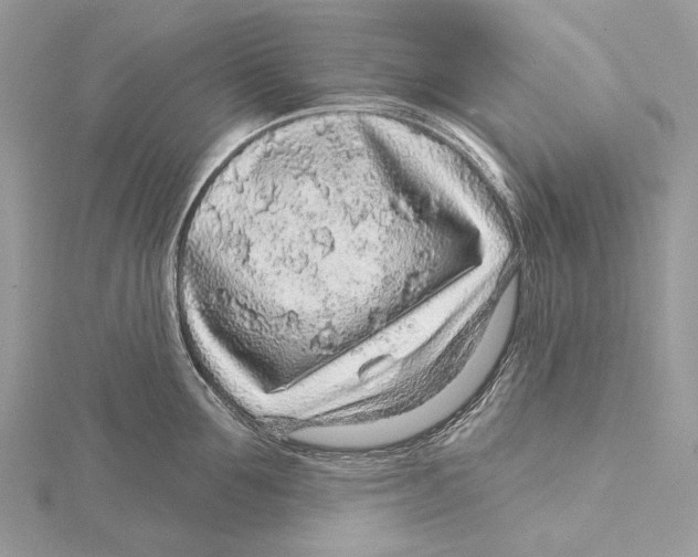 X0000115550907200912041029