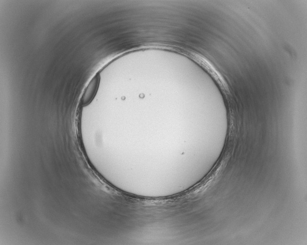 X0000115550908200912041029