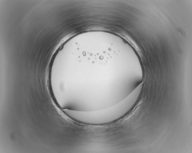 X0000115550909200912041029