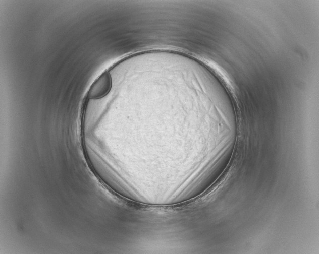 X0000115550910200912041029