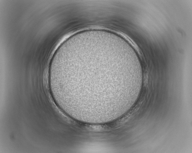 X0000115550911200912041029