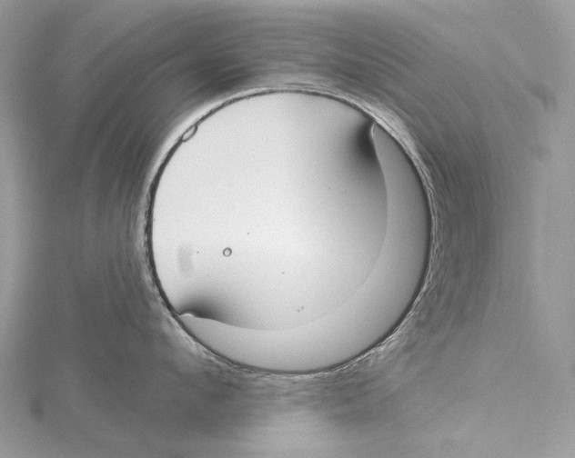 X0000115550912200912041029