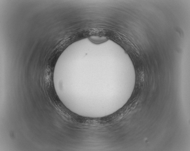 X0000115550914200912041029