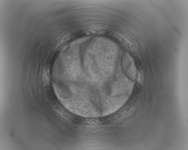 X0000115550915200912041029