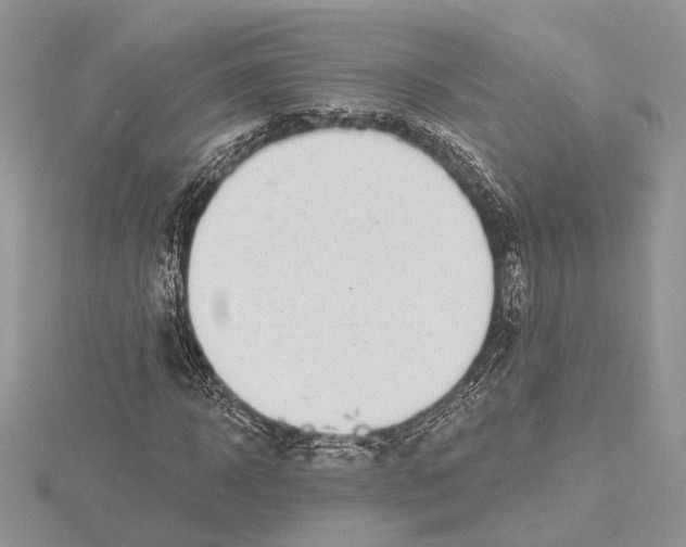 X0000115550918200912041029