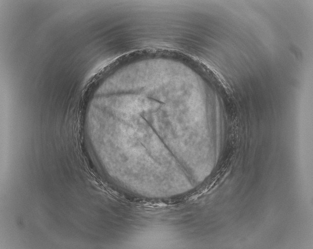 X0000115550919200912041029