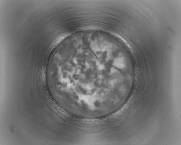 X0000115550921200912041029