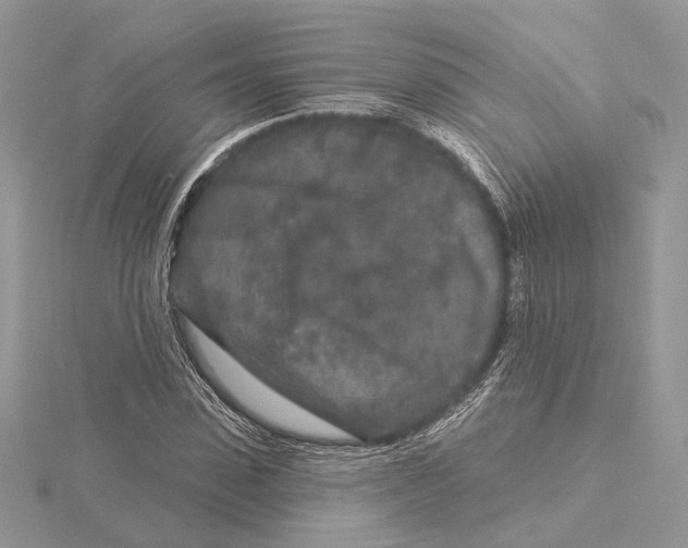 X0000115550923200912041029