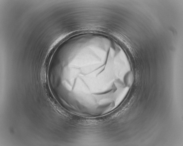 X0000115550925200912041029